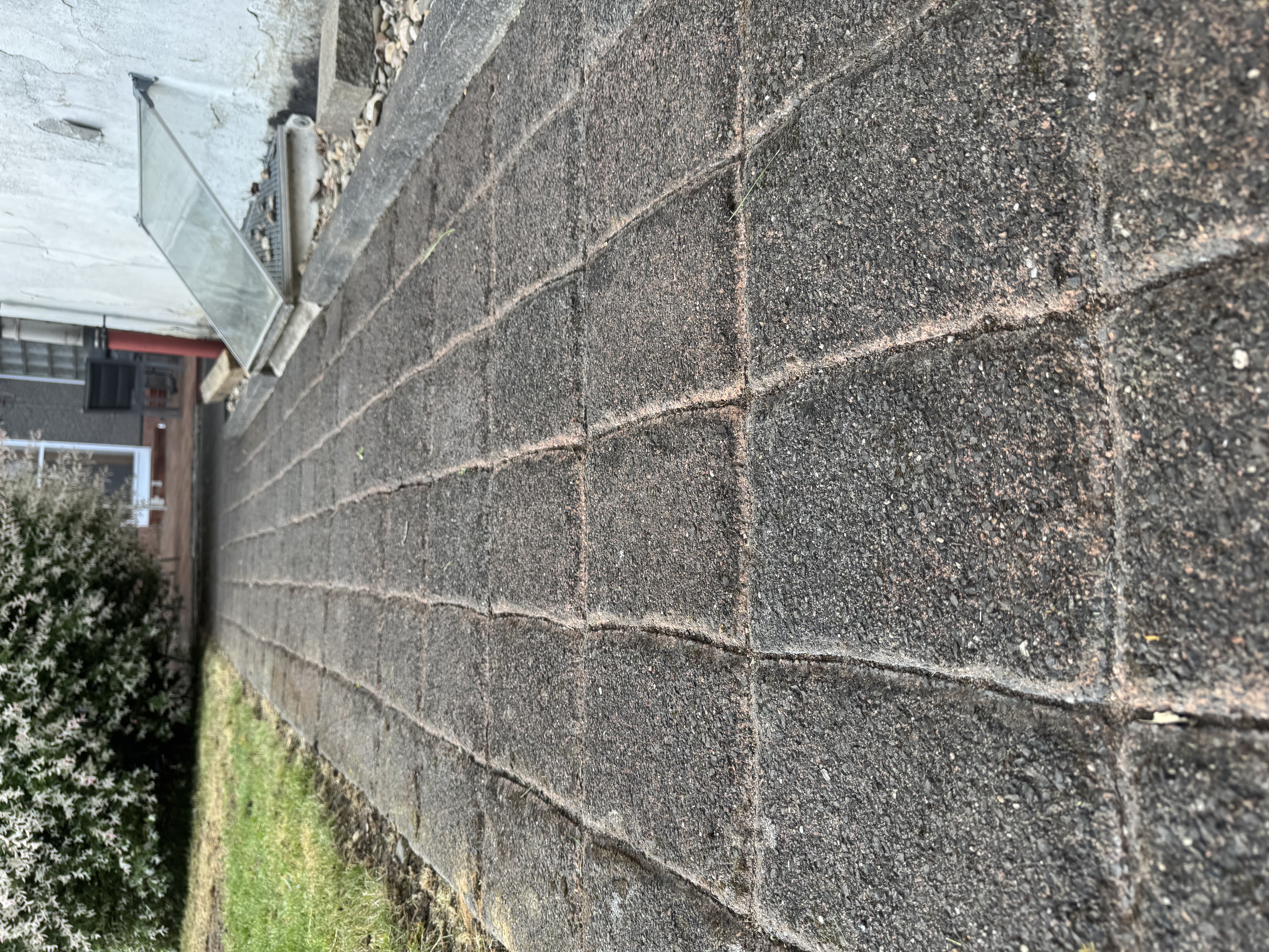 Weg nach Unkrautentfernung